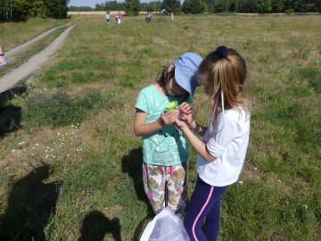 Rozpoczynamy wakacje na łące w PKWŁ, 